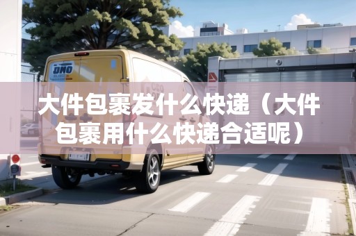 大件包裹發(fā)什么快遞（大件包裹用什么快遞合適呢）