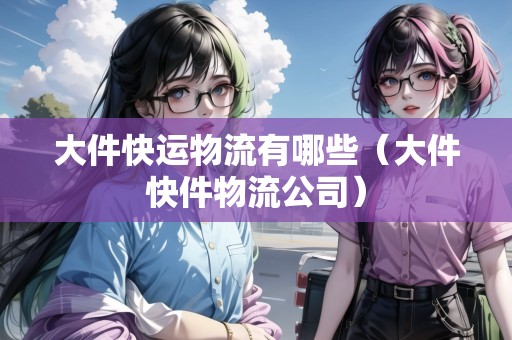 大件快運(yùn)物流有哪些（大件快件物流公司）
