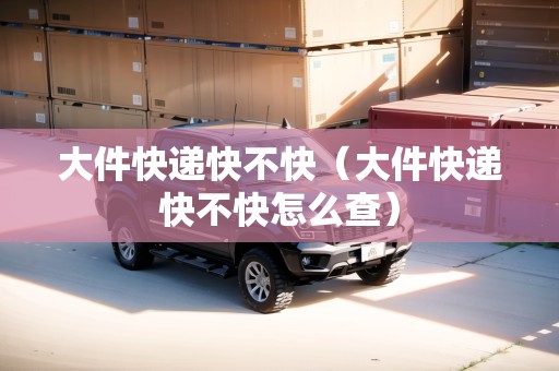 大件快遞快不快（大件快遞快不快怎么查）