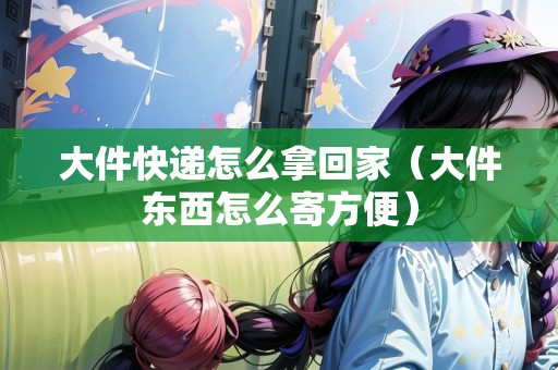 大件快遞怎么拿回家(大件東西怎么寄方便) 大件快遞怎么拿回家(大件東西怎么寄方便)