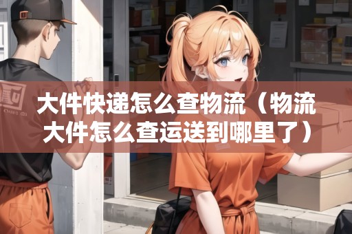 大件快遞怎么查物流（物流大件怎么查運送到哪里了）
