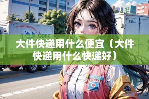 大件快遞用什么便宜（大件快遞用什么快遞好）