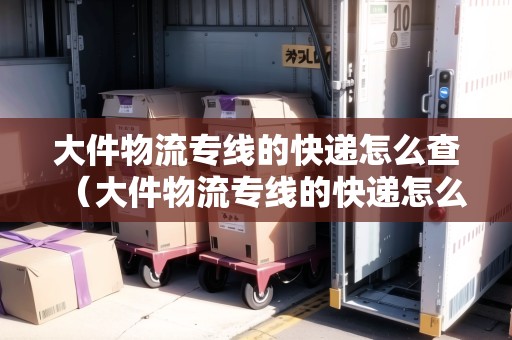 大件物流專線的快遞怎么查（大件物流專線的快遞怎么查詢的）