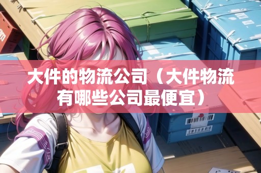 大件的物流公司（大件物流有哪些公司最便宜）