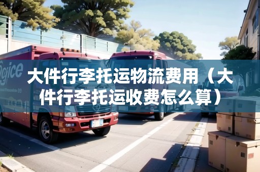 大件行李托運(yùn)物流費(fèi)用（大件行李托運(yùn)收費(fèi)怎么算）