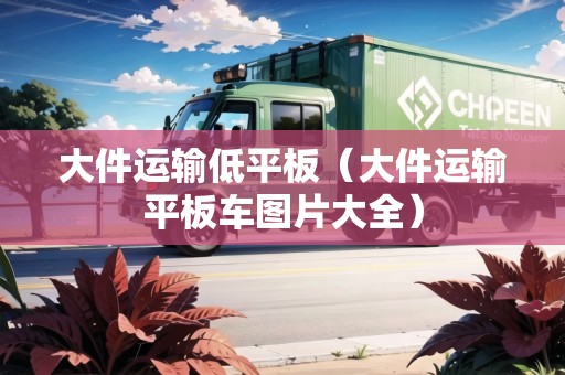 大件運輸?shù)推桨澹ù蠹\輸平板車圖片大全）