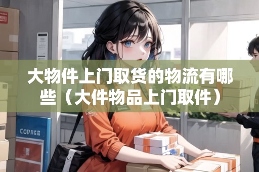 大物件上門取貨的物流有哪些（大件物品上門取件）