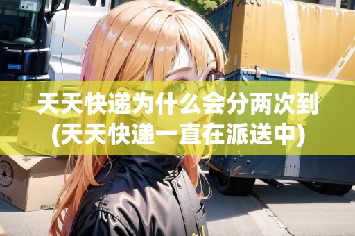 天天快遞為什么會分兩次到(天天快遞一直在派送中)