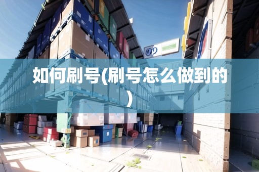 如何刷號(刷號怎么做到的)