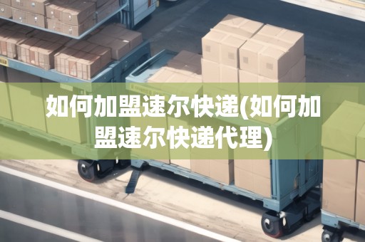 如何加盟速爾快遞(如何加盟速爾快遞代理)
