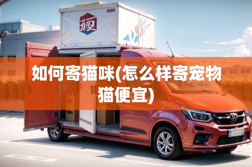 如何寄貓咪(怎么樣寄寵物貓便宜)