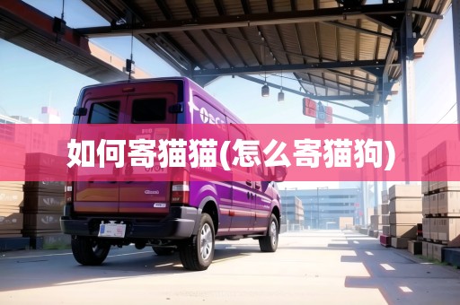 如何寄貓貓(怎么寄貓狗)