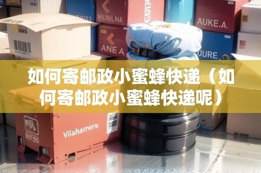 如何寄郵政小蜜蜂快遞（如何寄郵政小蜜蜂快遞呢）