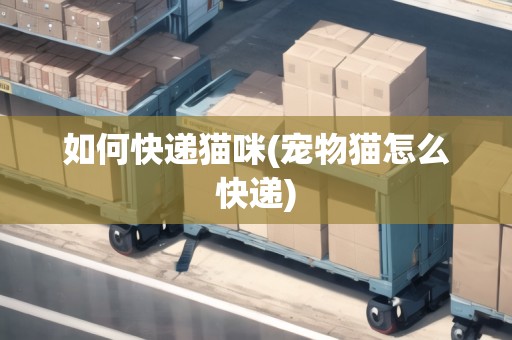 如何快遞貓咪(寵物貓?jiān)趺纯爝f)