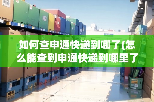 如何查申通快遞到哪了(怎么能查到申通快遞到哪里了)