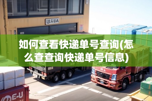 如何查看快遞單號查詢(怎么查查詢快遞單號信息) 如何查看快遞單號查詢(怎么查查詢快遞單號信息)