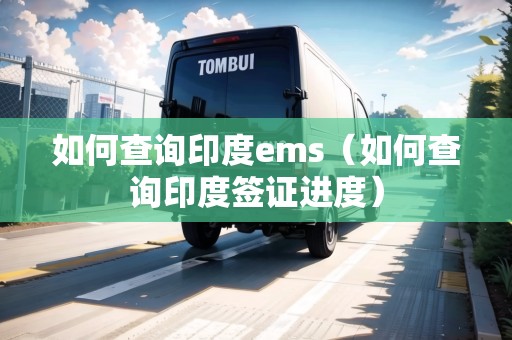 如何查詢印度ems（如何查詢印度簽證進(jìn)度）