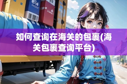 如何查詢在海關的包裹(海關包裹查詢平臺)