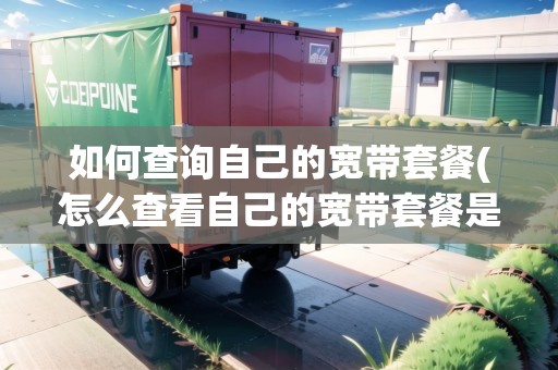 如何查詢自己的寬帶套餐(怎么查看自己的寬帶套餐是多少兆) 如何查詢自己的寬帶套餐(怎么查看自己的寬帶套餐是多少兆)