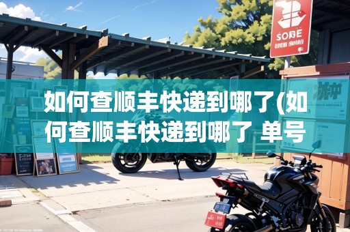 如何查順豐快遞到哪了(如何查順豐快遞到哪了 單號(hào)查詢)
