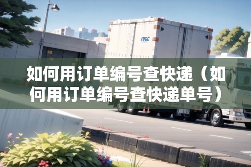 如何用訂單編號查快遞（如何用訂單編號查快遞單號）
