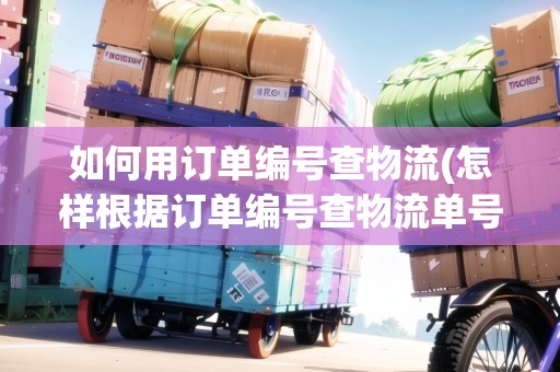 如何用訂單編號查物流(怎樣根據(jù)訂單編號查物流單號)