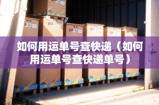 如何用運單號查快遞（如何用運單號查快遞單號）