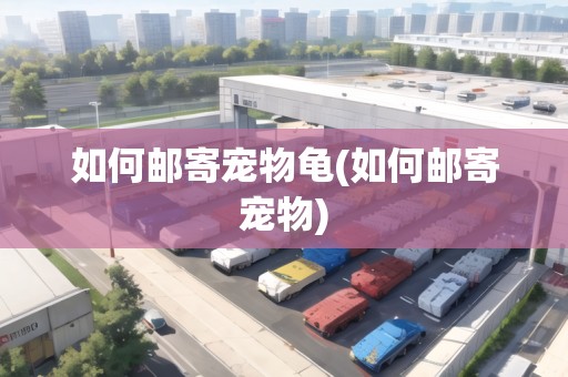 如何郵寄寵物龜(如何郵寄寵物)