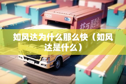 如風(fēng)達(dá)為什么那么快（如風(fēng)達(dá)是什么）
