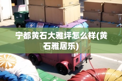 寧都黃石大雅坪怎么樣(黃石雅居樂)