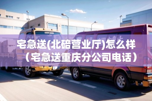 宅急送(北碚營(yíng)業(yè)廳)怎么樣（宅急送重慶分公司電話）