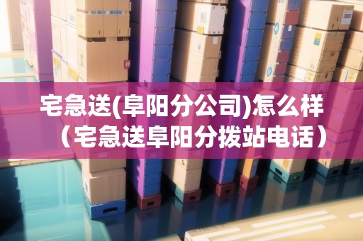 宅急送(阜陽(yáng)分公司)怎么樣（宅急送阜陽(yáng)分撥站電話）