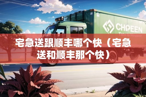 宅急送跟順豐哪個(gè)快（宅急送和順豐那個(gè)快）