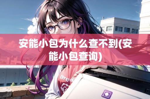 安能小包為什么查不到(安能小包查詢)