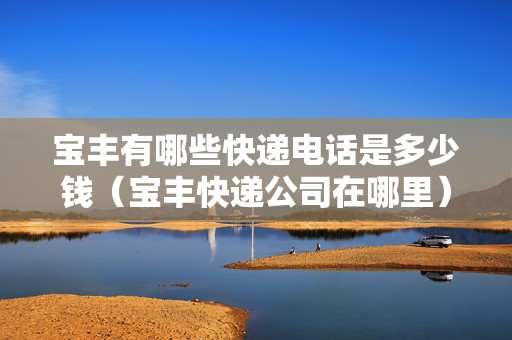 寶豐有哪些快遞電話是多少錢（寶豐快遞公司在哪里）