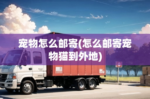 寵物怎么郵寄(怎么郵寄寵物貓到外地)