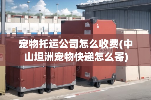 寵物托運(yùn)公司怎么收費(fèi)(中山坦洲寵物快遞怎么寄)