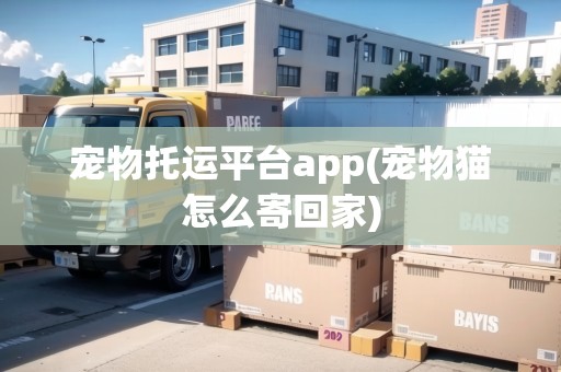 寵物托運平臺app(寵物貓怎么寄回家)