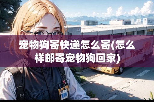 寵物狗寄快遞怎么寄(怎么樣郵寄寵物狗回家)