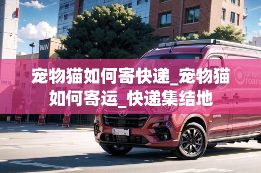 寵物貓如何寄快遞_寵物貓如何寄運(yùn)_快遞集結(jié)地