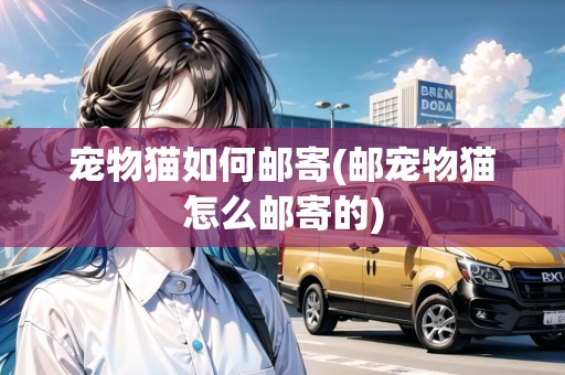 寵物貓如何郵寄(郵寵物貓怎么郵寄的)