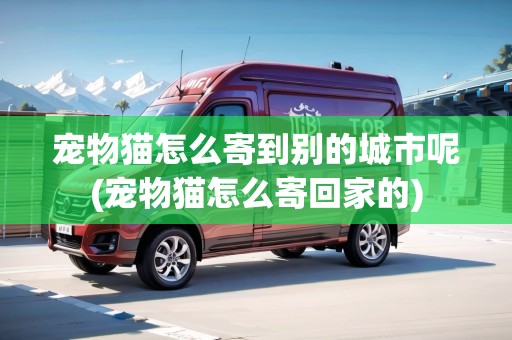 寵物貓怎么寄到別的城市呢(寵物貓怎么寄回家的)