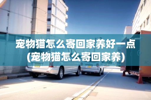 寵物貓怎么寄回家養(yǎng)好一點(寵物貓怎么寄回家養(yǎng))