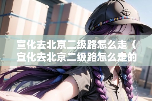 宣化去北京二級(jí)路怎么走（宣化去北京二級(jí)路怎么走的）