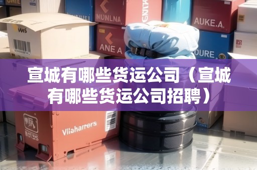 宣城有哪些貨運公司（宣城有哪些貨運公司招聘）