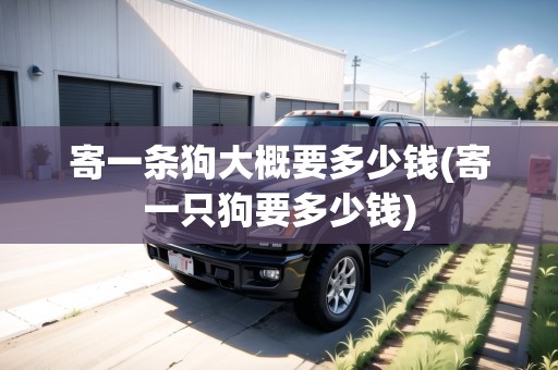 寄一條狗大概要多少錢(寄一只狗要多少錢) 寄一條狗大概要多少錢(寄一只狗要多少錢)