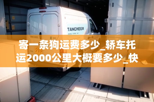 寄一條狗運(yùn)費(fèi)多少_轎車托運(yùn)2000公里大概要多少_快遞集結(jié)地