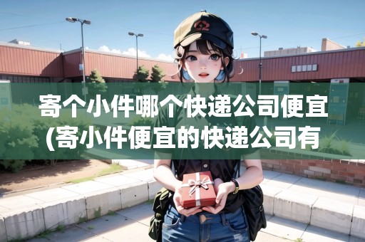 寄個小件哪個快遞公司便宜(寄小件便宜的快遞公司有哪些)