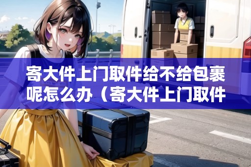 寄大件上門取件給不給包裹呢怎么辦（寄大件上門取件用什么物流便宜）