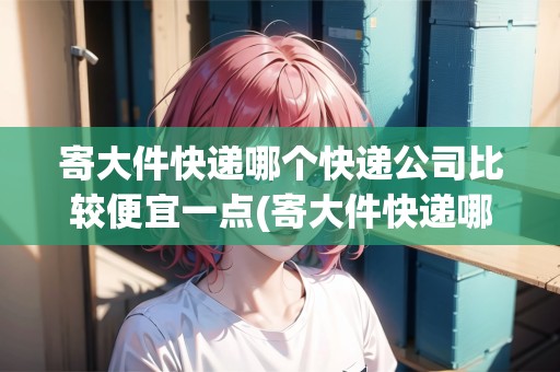 寄大件快遞哪個快遞公司比較便宜一點(寄大件快遞哪個快遞便宜) 寄大件快遞哪個快遞公司比較便宜一點(寄大件快遞哪個快遞便宜)